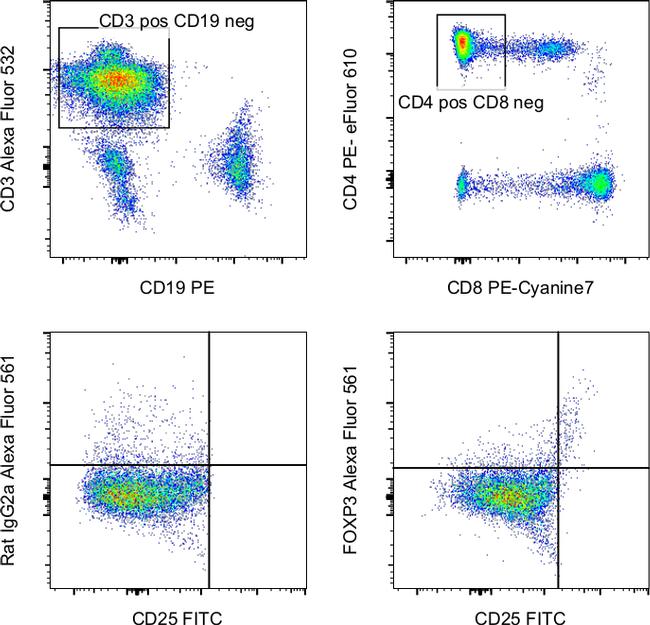 FOXP3 Antibody in Flow Cytometry (Flow)