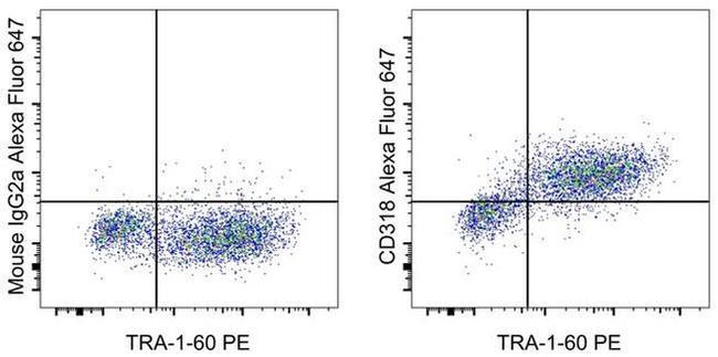 CD318 (CDCP1) Antibody in Flow Cytometry (Flow)