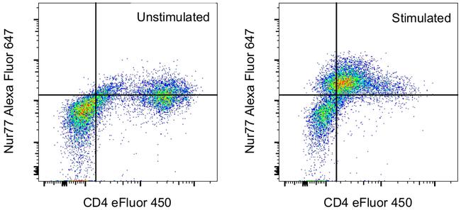 Nur77 Antibody in Flow Cytometry (Flow)