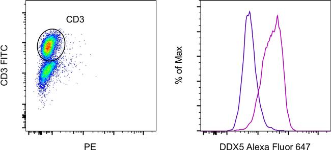 DDX5 Antibody in Flow Cytometry (Flow)