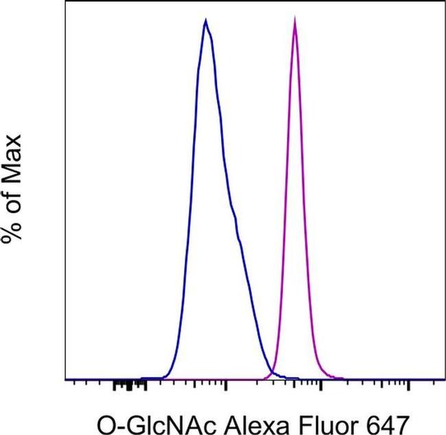 O-GlcNAc Antibody in Flow Cytometry (Flow)