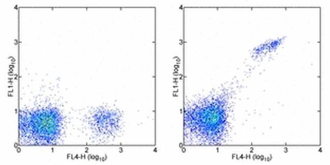 CD8b Antibody in Flow Cytometry (Flow)