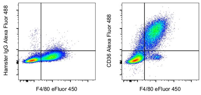 CD36 Antibody in Flow Cytometry (Flow)