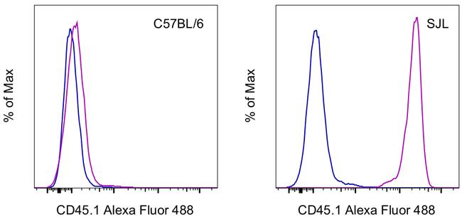 CD45.1 Antibody in Flow Cytometry (Flow)