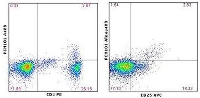 FOXP3 Antibody in Flow Cytometry (Flow)