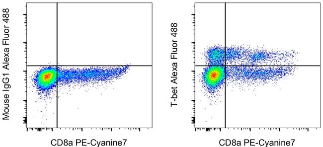 T-bet Antibody in Flow Cytometry (Flow)