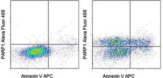 PARP1 (cleaved Asp214) Antibody in Flow Cytometry (Flow)