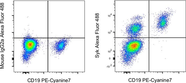 Syk Antibody in Flow Cytometry (Flow)