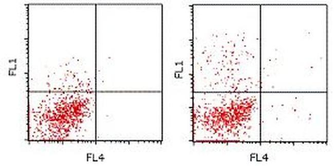 IL-17A Antibody in Flow Cytometry (Flow)