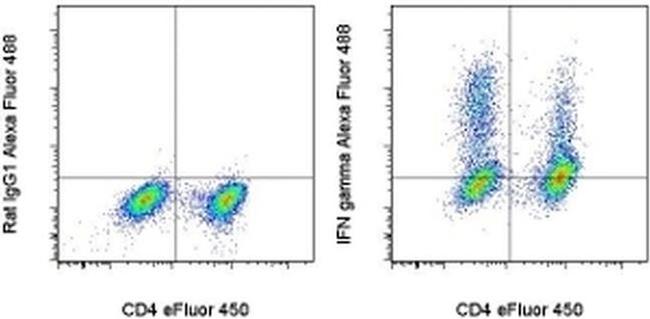 IFN gamma Antibody in Flow Cytometry (Flow)