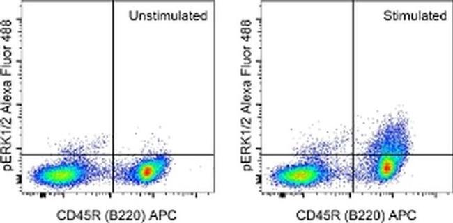 Phospho-ERK1/2 (Thr202, Tyr204) Antibody in Flow Cytometry (Flow)