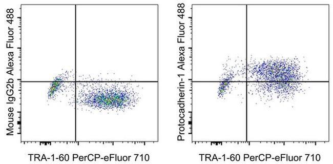 PCDH1 (Protocadherin 1) Antibody in Flow Cytometry (Flow)