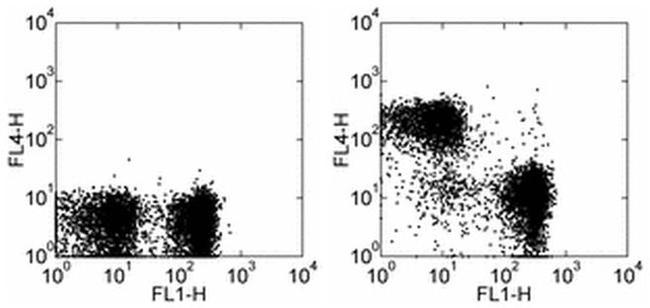 CD3 Antibody in Flow Cytometry (Flow)