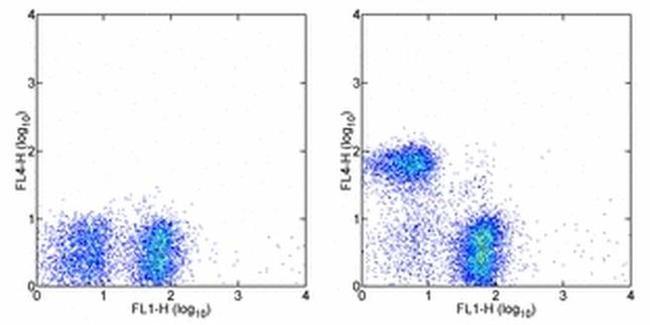 CD3e Antibody in Flow Cytometry (Flow)