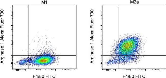 Arginase 1 Antibody in Flow Cytometry (Flow)