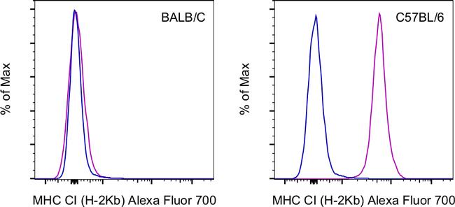 MHC Class I (H-2Kb) Antibody in Flow Cytometry (Flow)