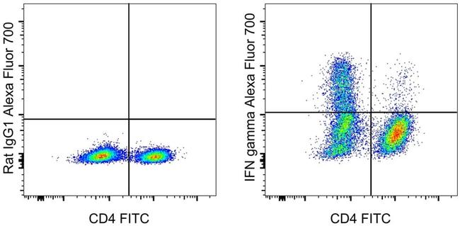 IFN gamma Antibody in Flow Cytometry (Flow)