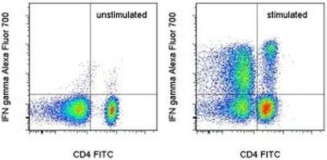 IFN gamma Antibody in Flow Cytometry (Flow)