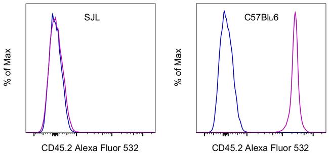 CD45.2 Antibody in Flow Cytometry (Flow)