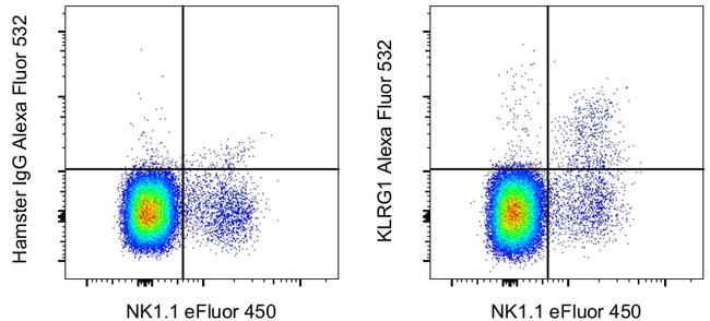 KLRG1 Antibody in Flow Cytometry (Flow)