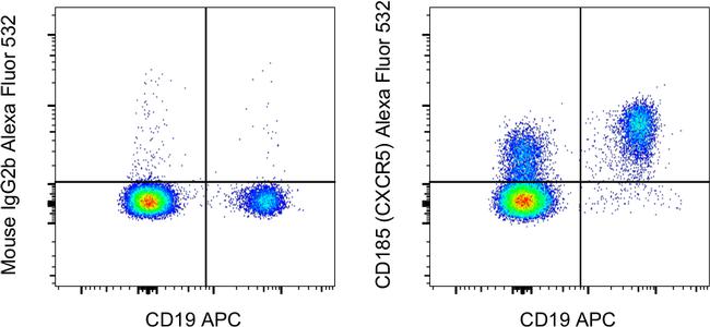 CD185 (CXCR5) Antibody in Flow Cytometry (Flow)