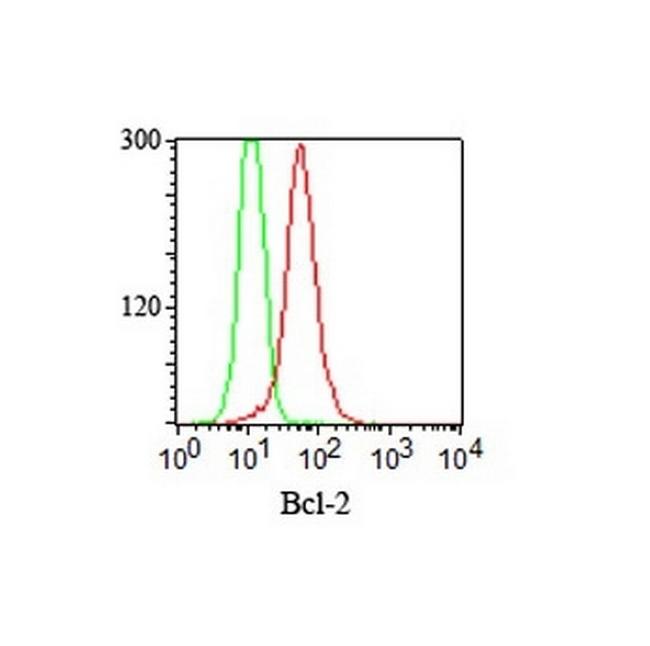 Bcl-2 (Apoptosis and Follicular Lymphoma Marker) Antibody in Immunocytochemistry (ICC/IF)