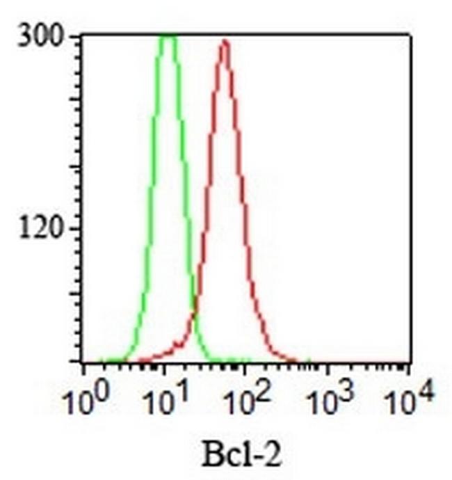 Bcl-2 (Apoptosis and Follicular Lymphoma Marker) Antibody in Immunocytochemistry (ICC/IF)