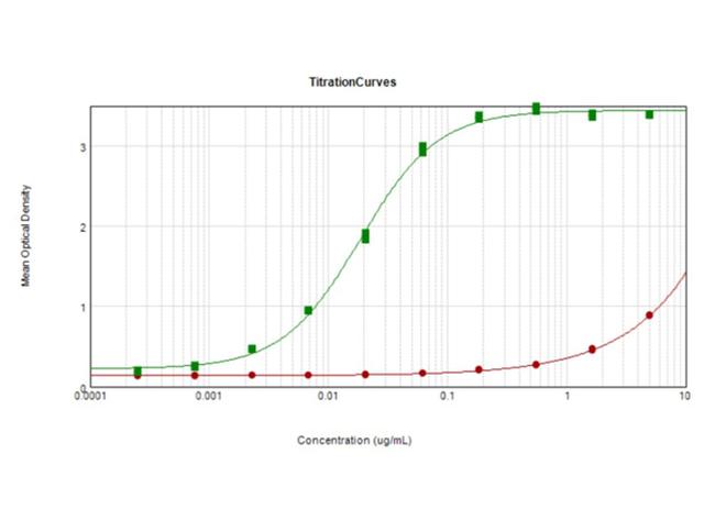 Phospho-Insulin Receptor (Tyr1361) Antibody in ELISA (ELISA)