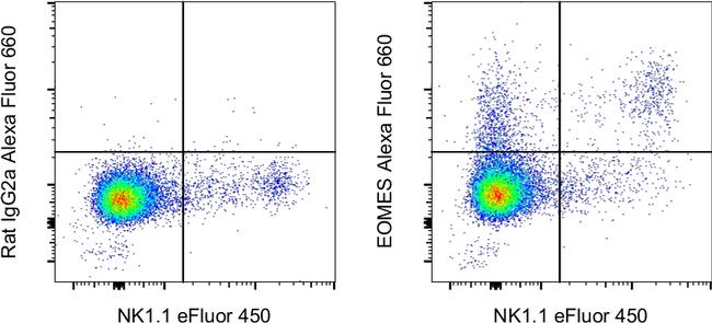 EOMES Antibody in Flow Cytometry (Flow)