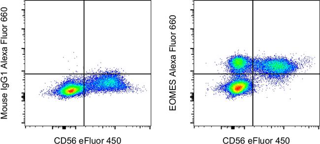 EOMES Antibody in Flow Cytometry (Flow)