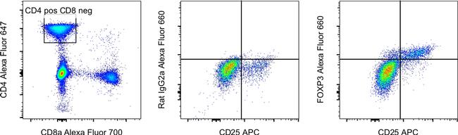 FOXP3 Antibody in Flow Cytometry (Flow)