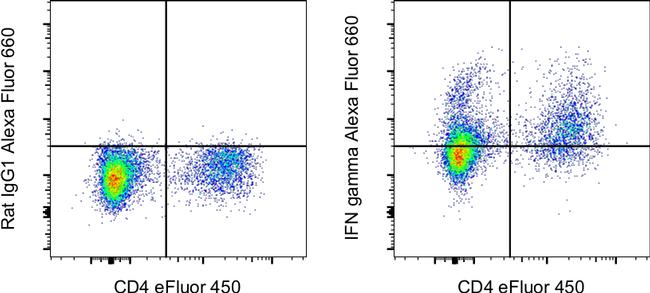 IFN gamma Antibody in Flow Cytometry (Flow)