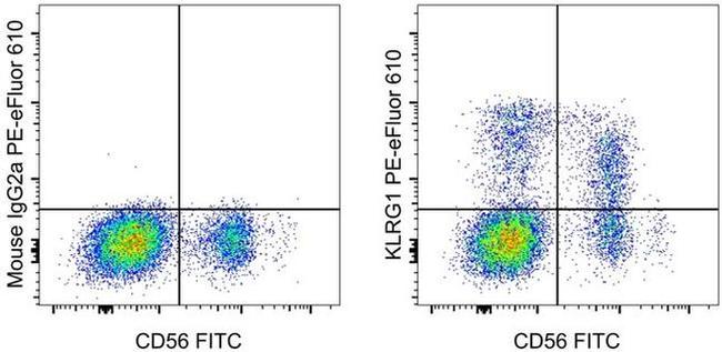 KLRG1 Antibody in Flow Cytometry (Flow)