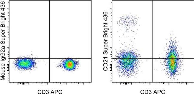 CD21 Antibody in Flow Cytometry (Flow)