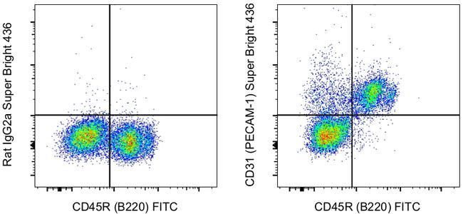 CD31 (PECAM-1) Antibody in Flow Cytometry (Flow)