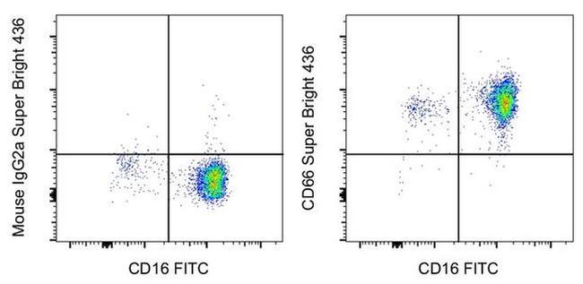 CD66 Antibody in Flow Cytometry (Flow)