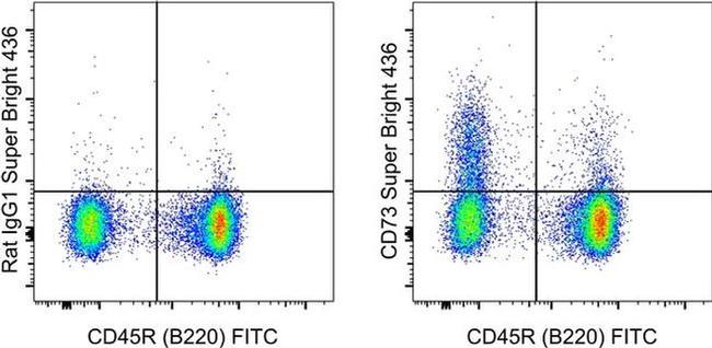 CD73 Antibody in Flow Cytometry (Flow)