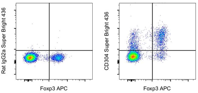 CD304 (Neuropilin-1) Antibody in Flow Cytometry (Flow)