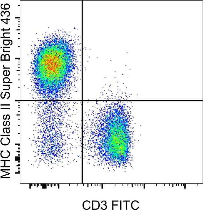 MHC Class II (I-A/I-E) Antibody in Flow Cytometry (Flow)