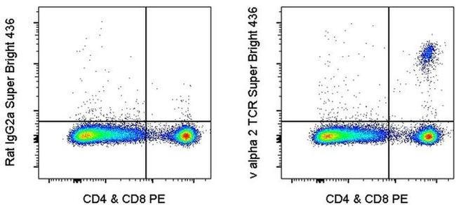 TCR V alpha 2 Antibody in Flow Cytometry (Flow)