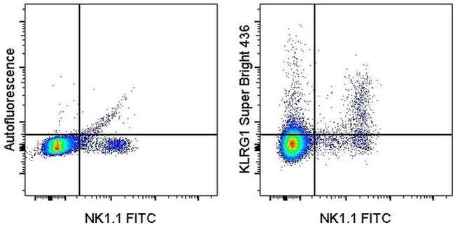 KLRG1 Antibody in Flow Cytometry (Flow)