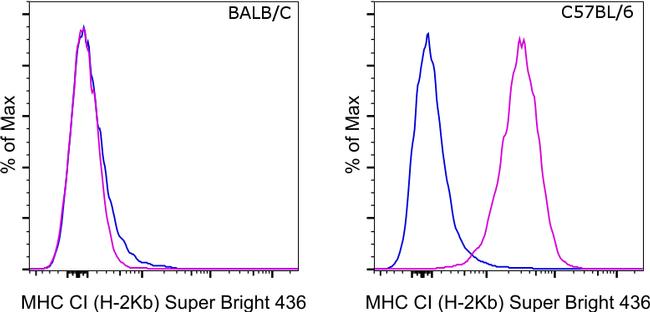 MHC Class I (H-2kb) Antibody in Flow Cytometry (Flow)