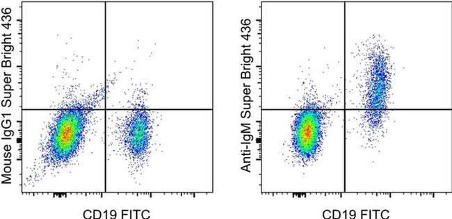 IgM Antibody in Flow Cytometry (Flow)