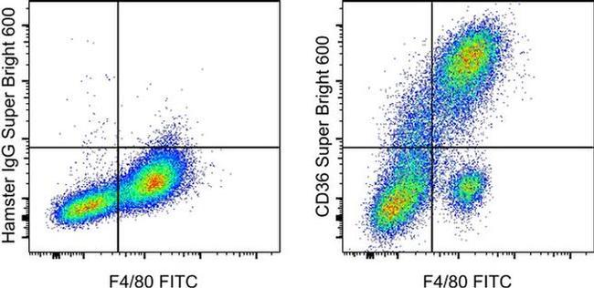 CD36 Antibody in Flow Cytometry (Flow)