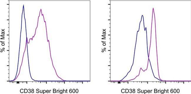 CD38 Antibody in Flow Cytometry (Flow)