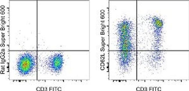 CD62L (L-Selectin) Antibody in Flow Cytometry (Flow)