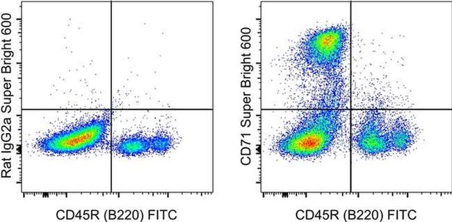 CD71 (Transferrin Receptor) Antibody in Flow Cytometry (Flow)