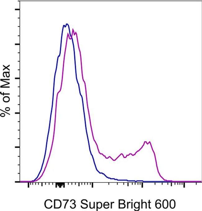 CD73 Antibody in Flow Cytometry (Flow)