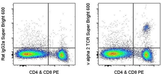 TCR V alpha 2 Antibody in Flow Cytometry (Flow)