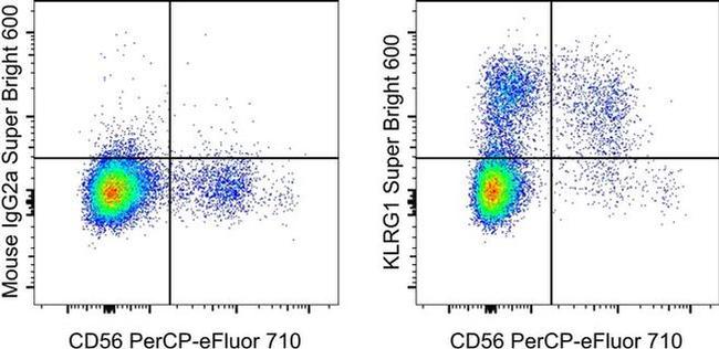 KLRG1 Antibody in Flow Cytometry (Flow)